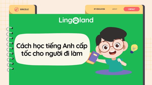 Cách Học TOEIC Cấp Tốc Cho Người Đi Làm