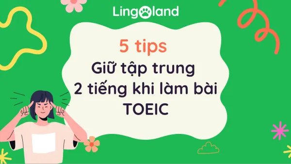 5 Tips Giữ Tập Trung 2 Tiếng Khi Làm Bài TOEIC