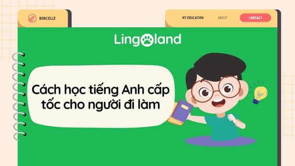 Cách Học TOEIC Cấp Tốc Cho Người Đi Làm